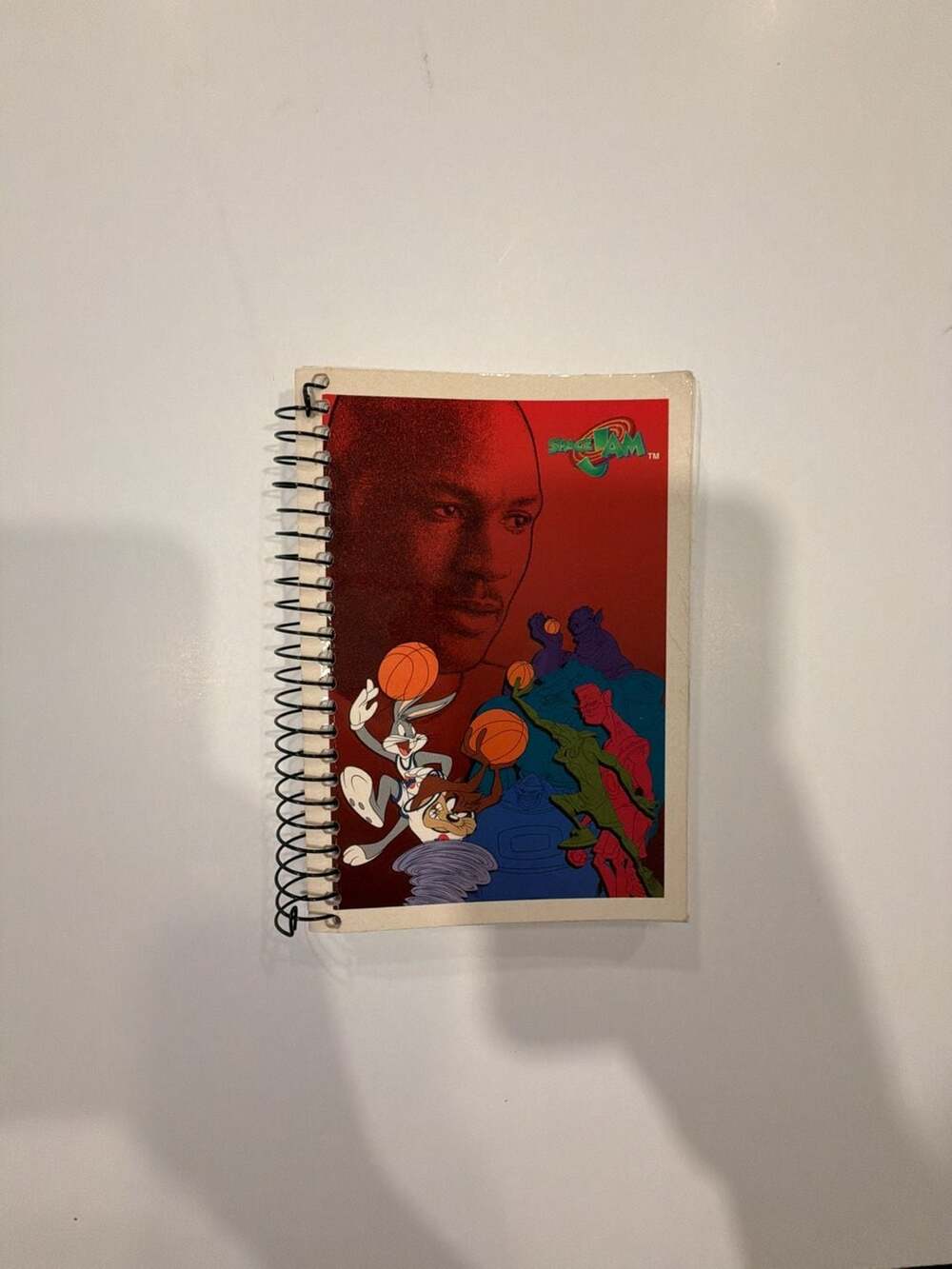 Vintage 1996 Stuart Hall Space Jam Michael Jordan Big Little Notebook